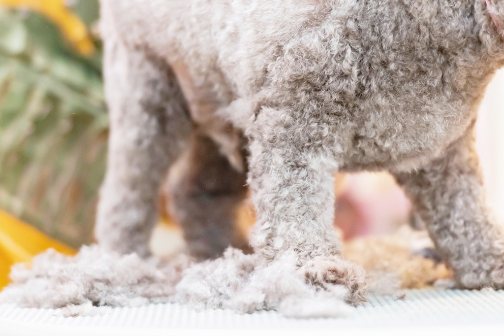 丁寧・優しいトリミング